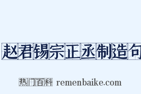 赵君锡宗正丞制造句是什么意思的图片